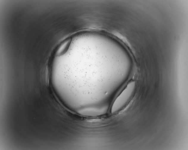 X0000089761171200707201936