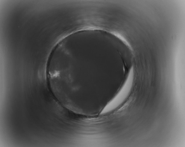 X0000089761173200707201936