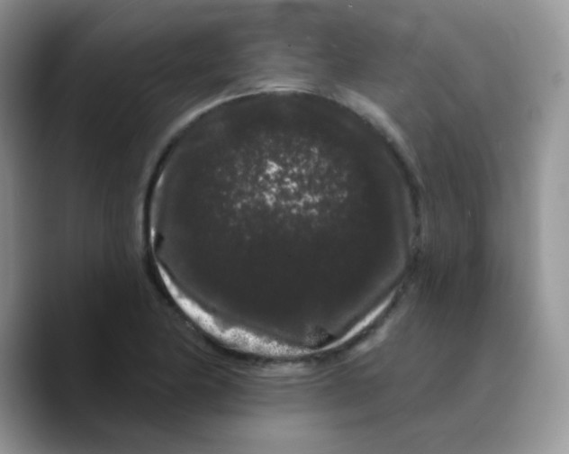 X0000089761174200707201936