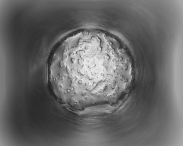 X0000089761175200707201936