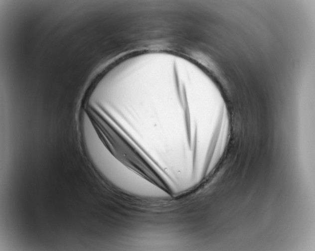 X0000089761176200707201936