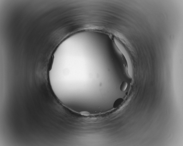 X0000089761177200707201936