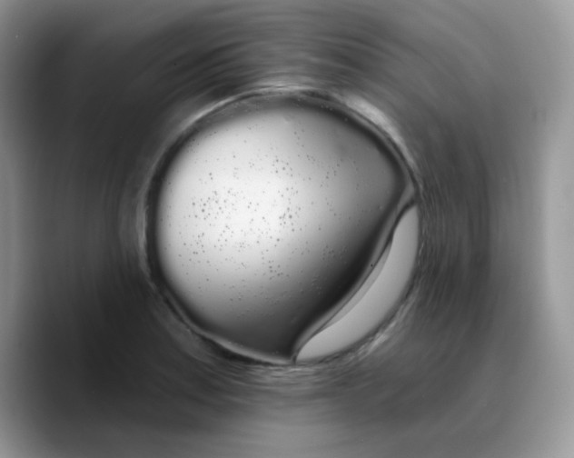 X0000089761179200707201936