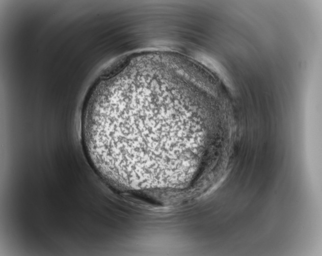 X0000089761180200707201936