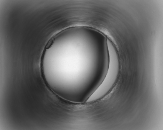 X0000089761181200707201936
