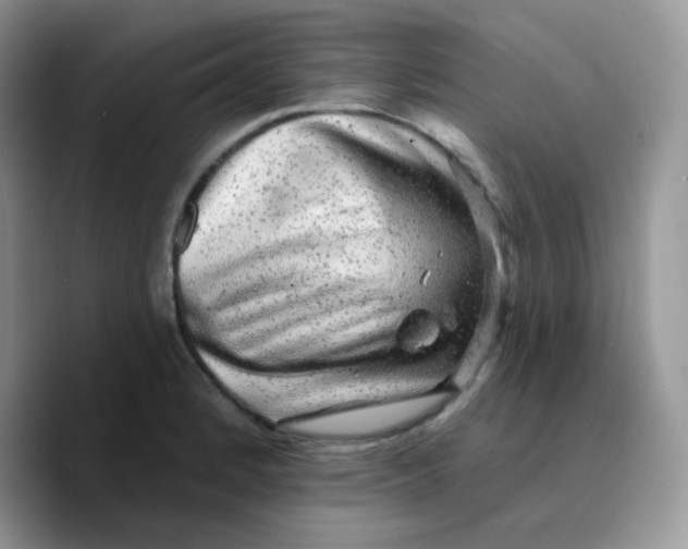 X0000089761184200707201936