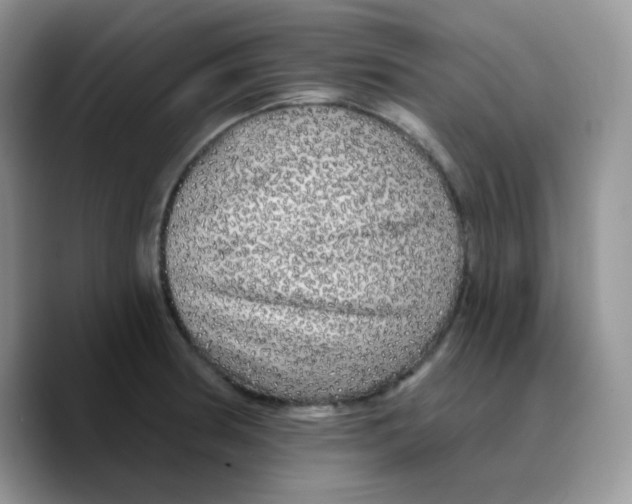 X0000089761186200707201936