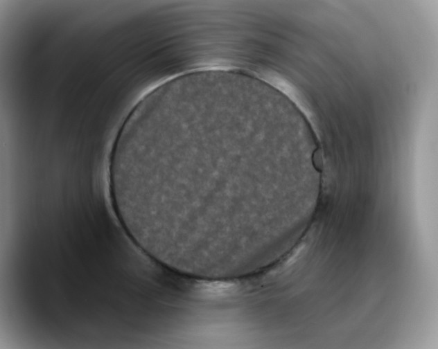 X0000089761187200707201936