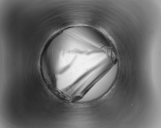 X0000089761189200707201936