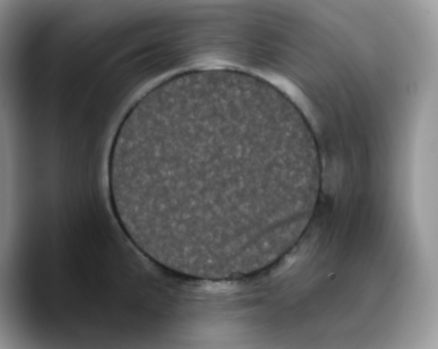 X0000089761191200707201936