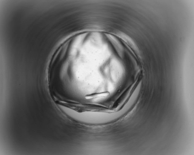 X0000089761192200707201936