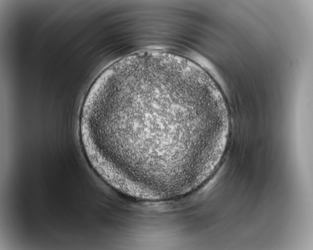 X0000089761194200707201936