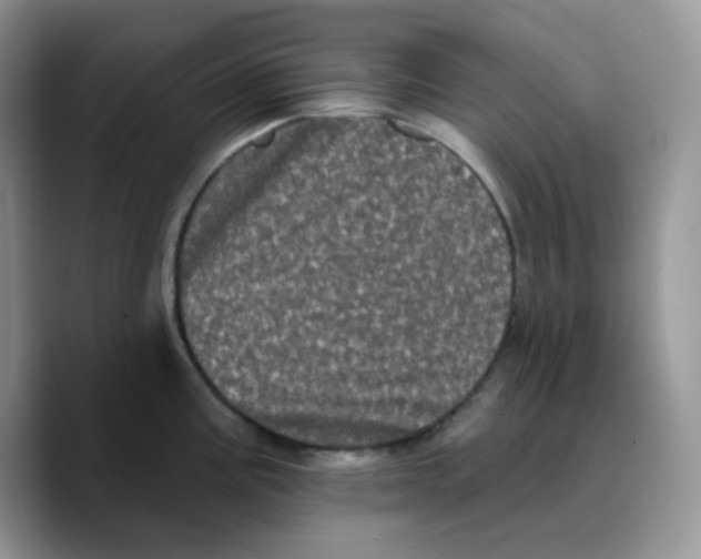 X0000089761195200707201936