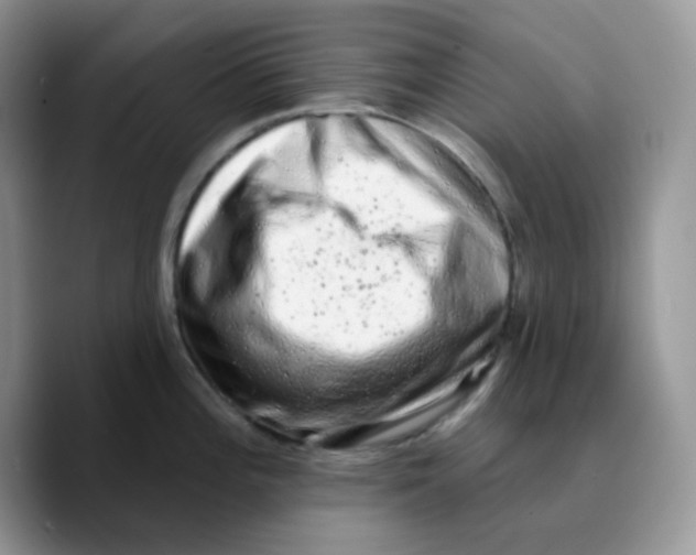 X0000089761196200707201936