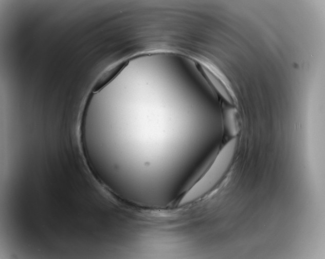 X0000089761197200707201936