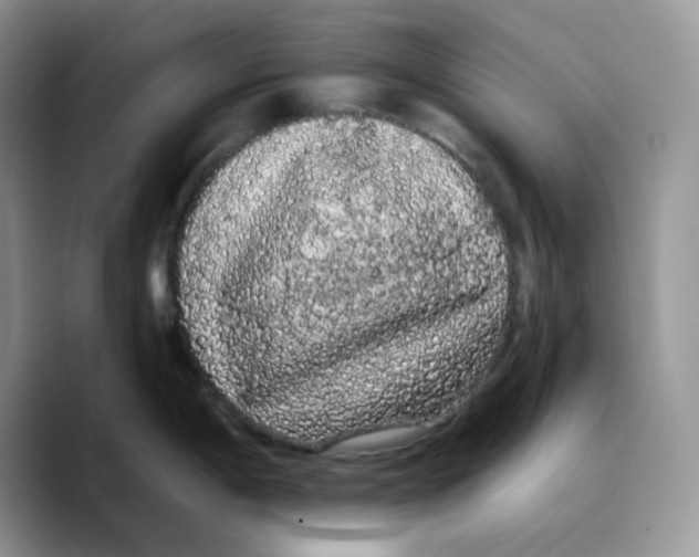 X0000089761198200707201936