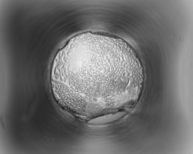 X0000089761200200707201936