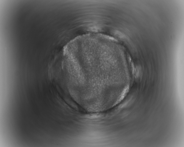 X0000089761202200707201935