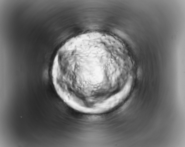 X0000089761209200707201935