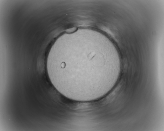 X0000089761211200707201935