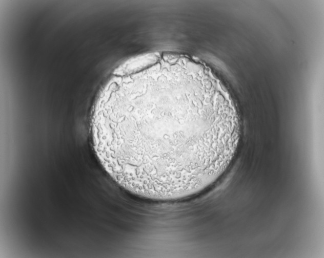 X0000089761212200707201935