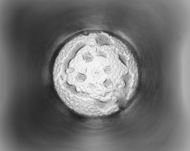 X0000089761215200707201935