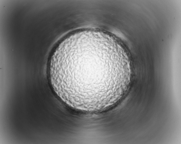 X0000089761216200707201935