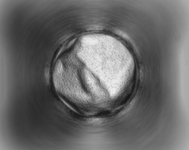 X0000089761217200707201935