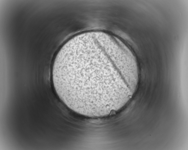 X0000089761220200707201935