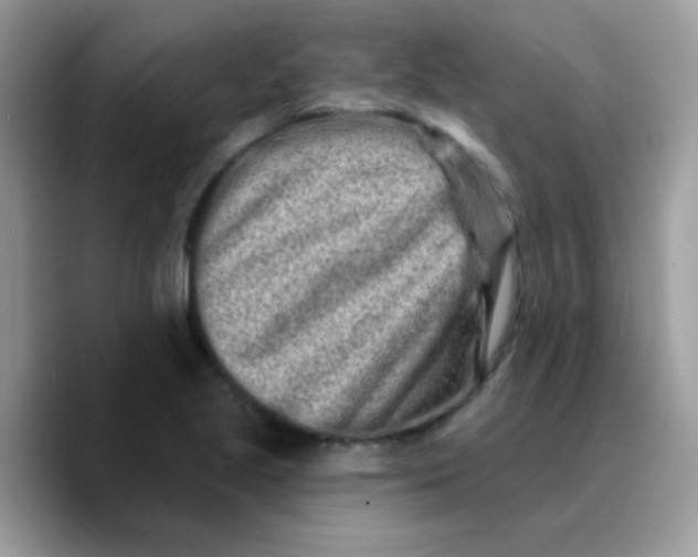 X0000089761221200707201935