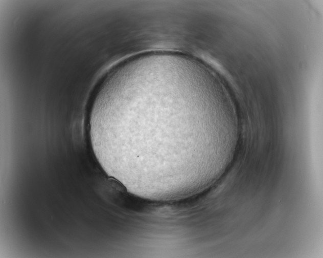 X0000089761222200707201936