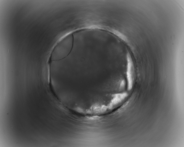 X0000089761223200707201936