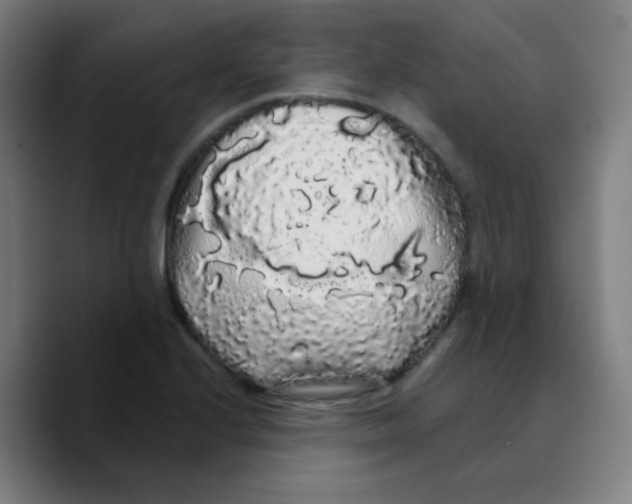 X0000089761224200707201936
