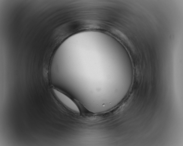 X0000089761225200707201936
