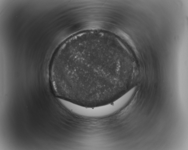 X0000089761226200707201936