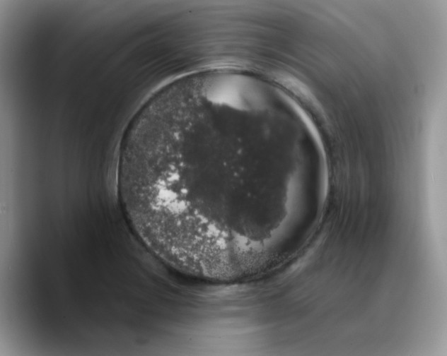 X0000089761228200707201936