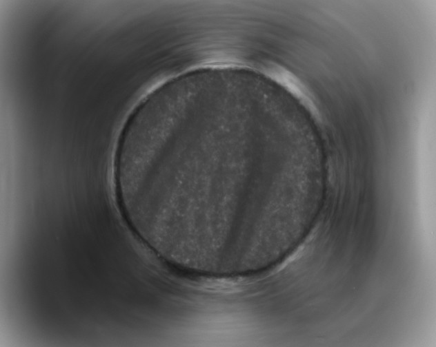 X0000089761229200707201936
