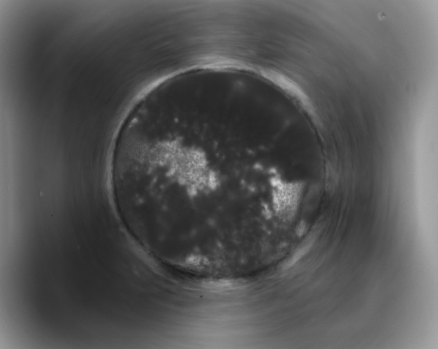 X0000089761231200707201936