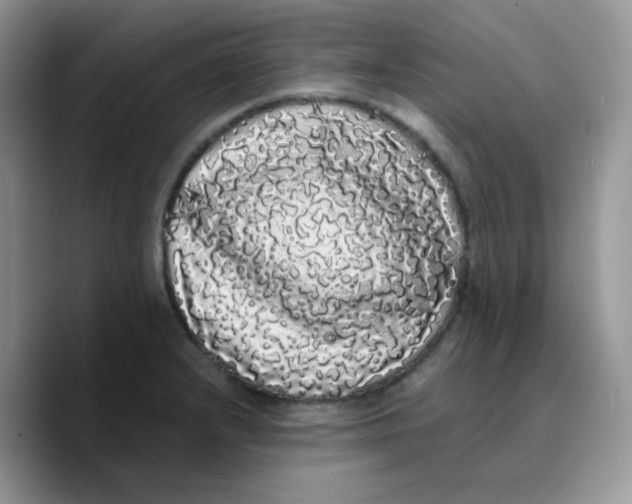 X0000089761232200707201936