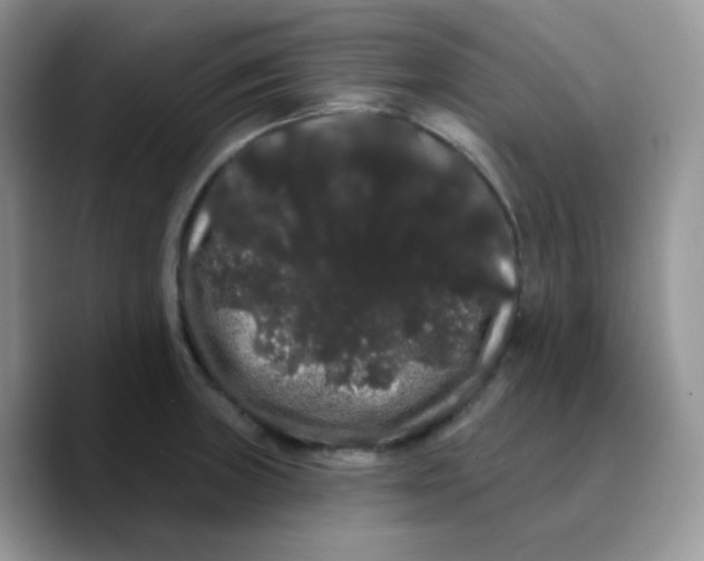 X0000089761235200707201936