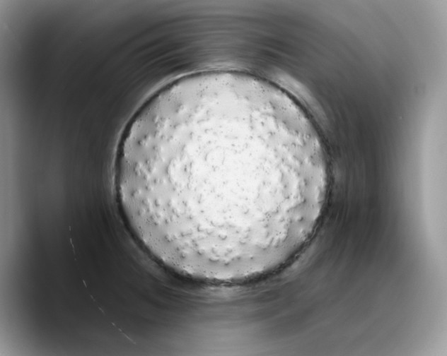 X0000089761236200707201936