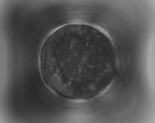 X0000089761239200707201936