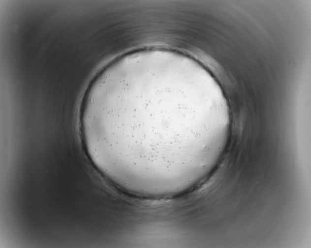 X0000089761240200707201936