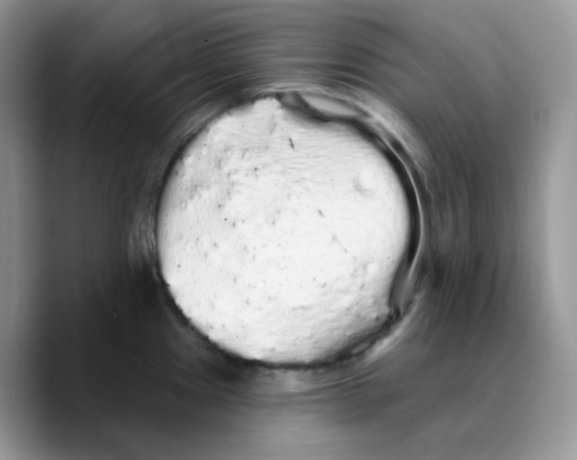 X0000089761241200707201936
