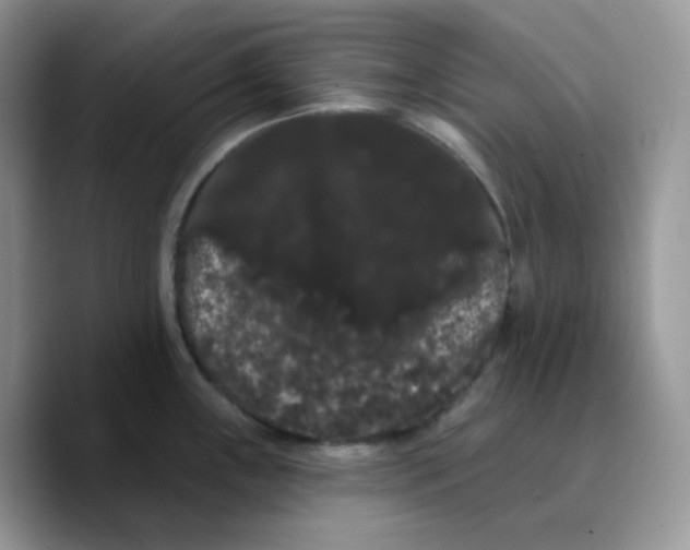 X0000089761243200707201936