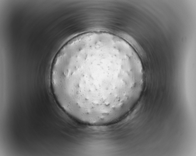 X0000089761244200707201936