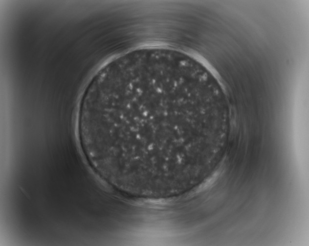 X0000089761245200707201936