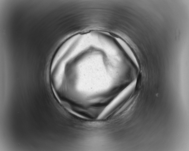 X0000089761246200707201936