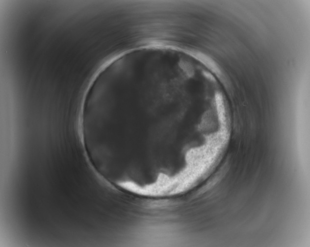 X0000089761247200707201936