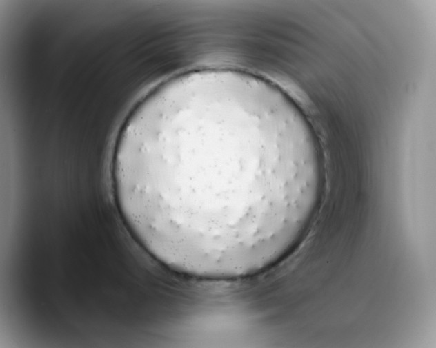 X0000089761248200707201936